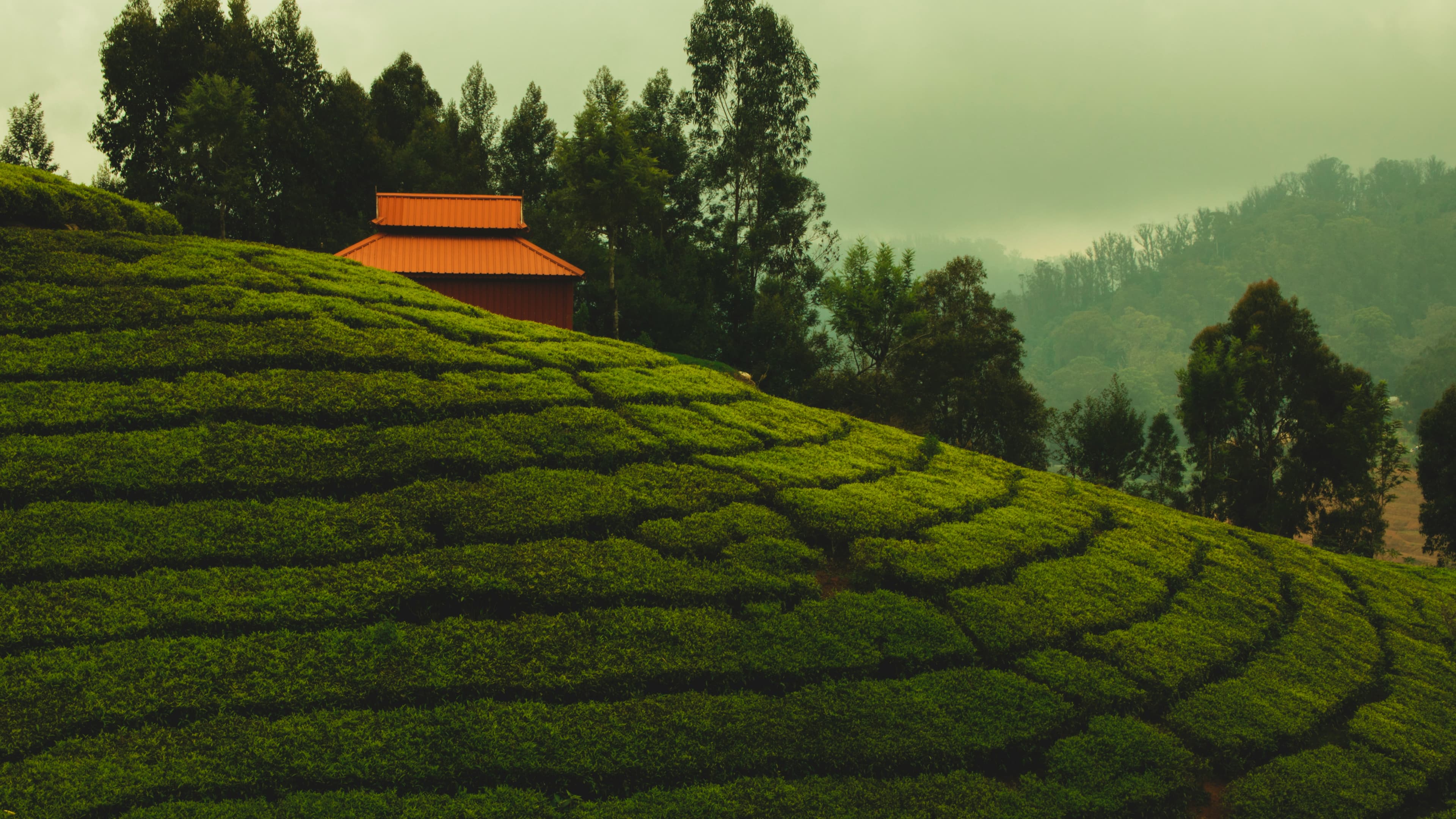This summer, Escape to the hills!